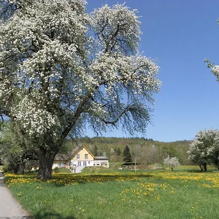 Gaienhofen Comfortable *